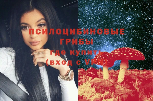 mdpv Новодвинск