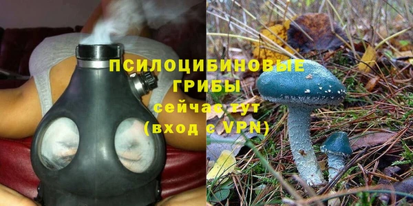 mdpv Новодвинск