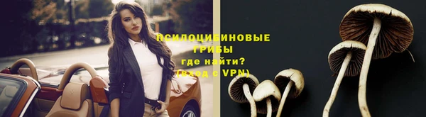 круглые Новокубанск