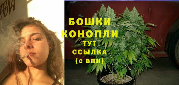 мдма Новозыбков