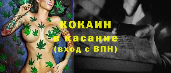 mdpv Новодвинск