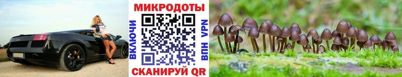 Галлюциногенные грибы MAGIC MUSHROOMS купить наркоту Мостовской